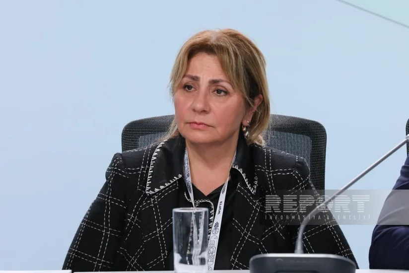 Гюльшан Рзаева: Азербайджанская модель реконструкции может стать примером для постконфликтных стран