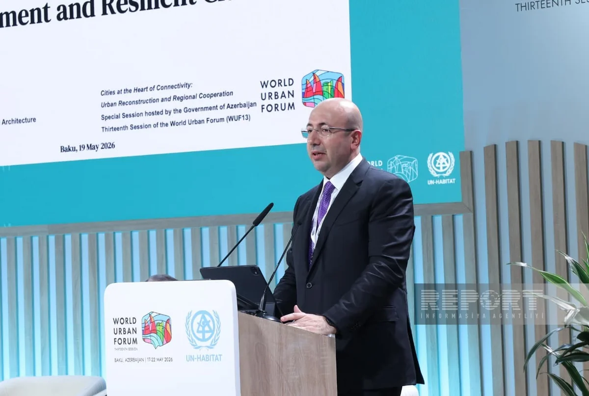State committee head says economic revival is key to restoring Azerbaijan's liberated territories