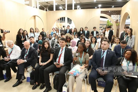 ASAN model in urbanization discussed at WUF13