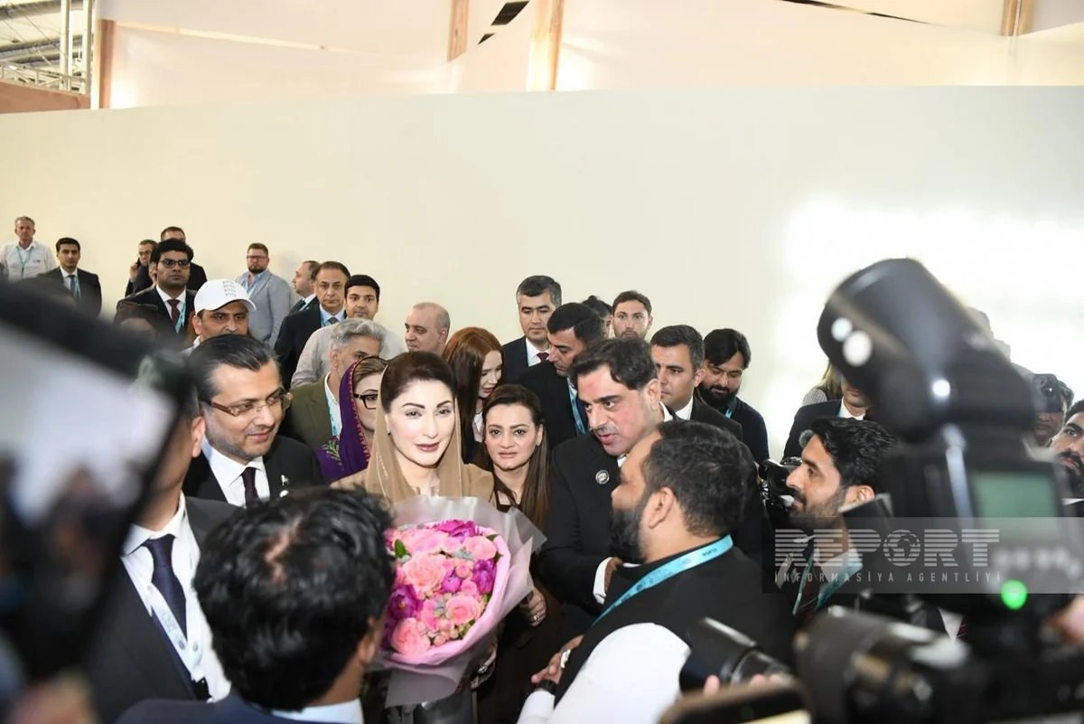 Punjabi pavilion opened at WUF13