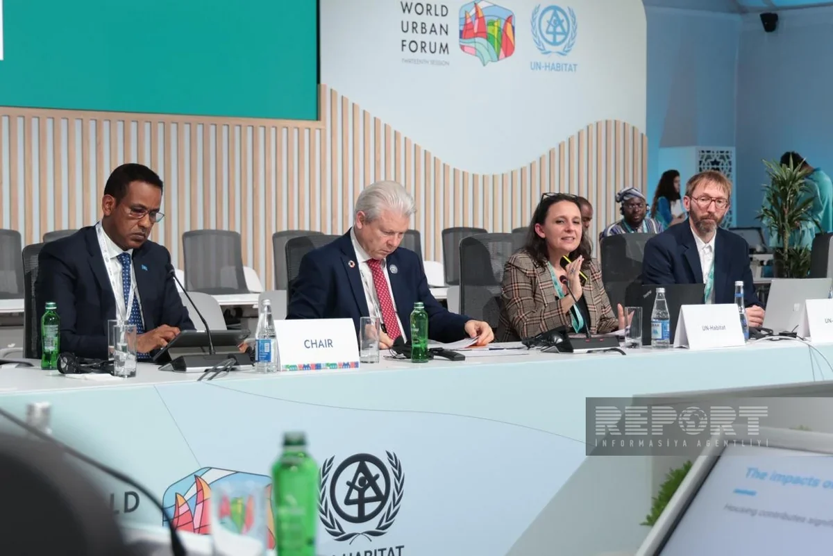 UN-Habitat rəsmisi: "Yaşıl sahələr və alternativ enerji sistemləri yaşayış keyfiyyətini artırır"