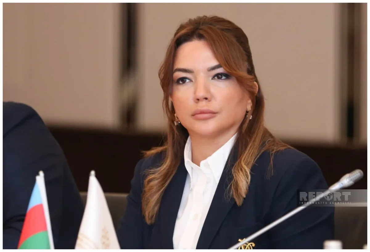 Aygun Aliyeva: Sustainable urban dev't impossible without civil society participation