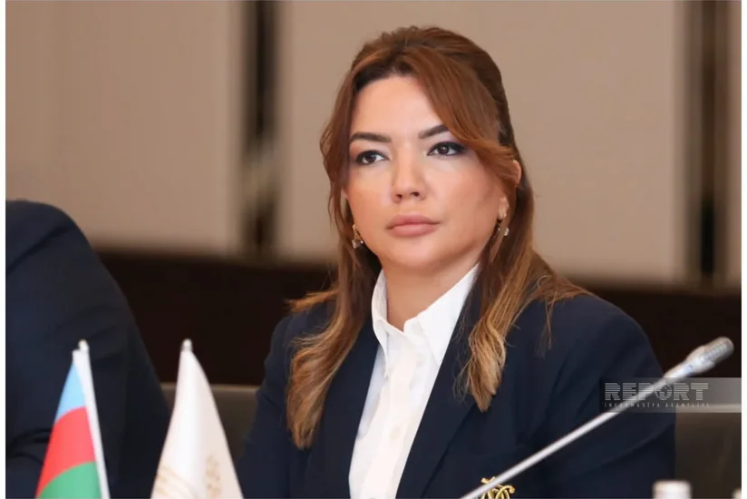 Aygun Aliyeva: Sustainable urban dev't impossible without civil society participation