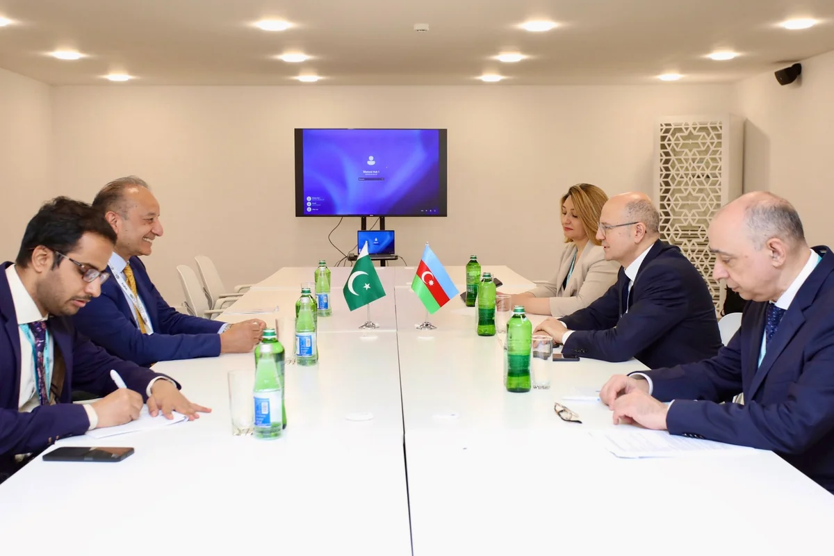 Azerbaijan, Pakistan discuss cooperation in energy sector within WUF13