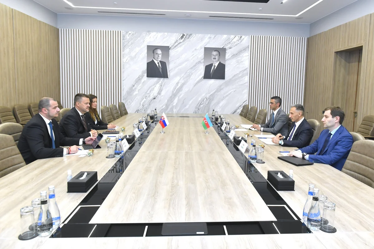 Azərbaycan və Slovakiya rəqəmsallaşma və şəhərsalma sahəsində əməkdaşlığı müzakirə edib
