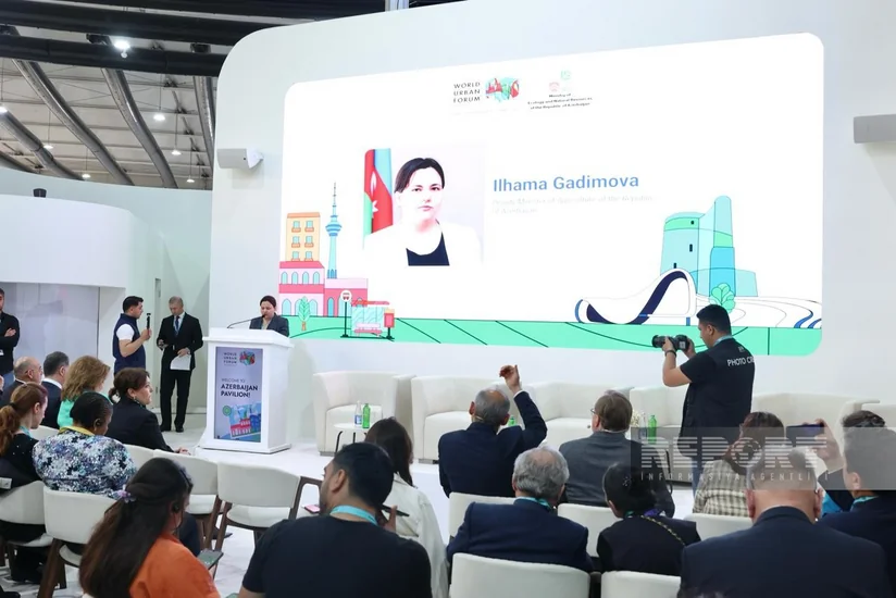 Event on Early Warning and Climate-Resilient Cities held as part of WUF13