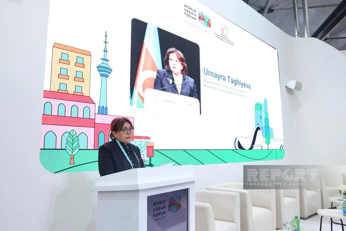 Umayra Taghiyeva: Azerbaijan actively participated in preparing decision on Special Report on climate change