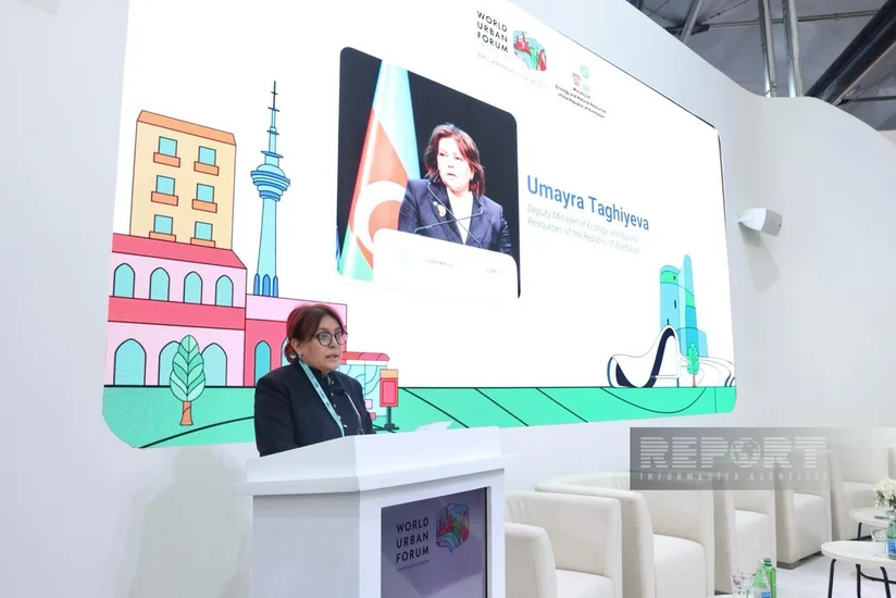 Umayra Tağıyeva: Azərbaycan iqlim dəyişikliyi üzrə Xüsusi Hesabat qərarının hazırlanmasında fəal iştirak edib