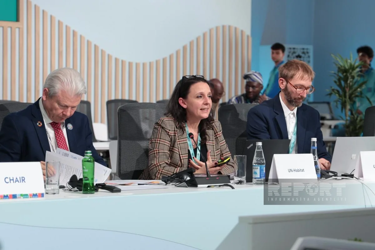 UN-Habitat: Housing must not come at expense of environmental sustainability