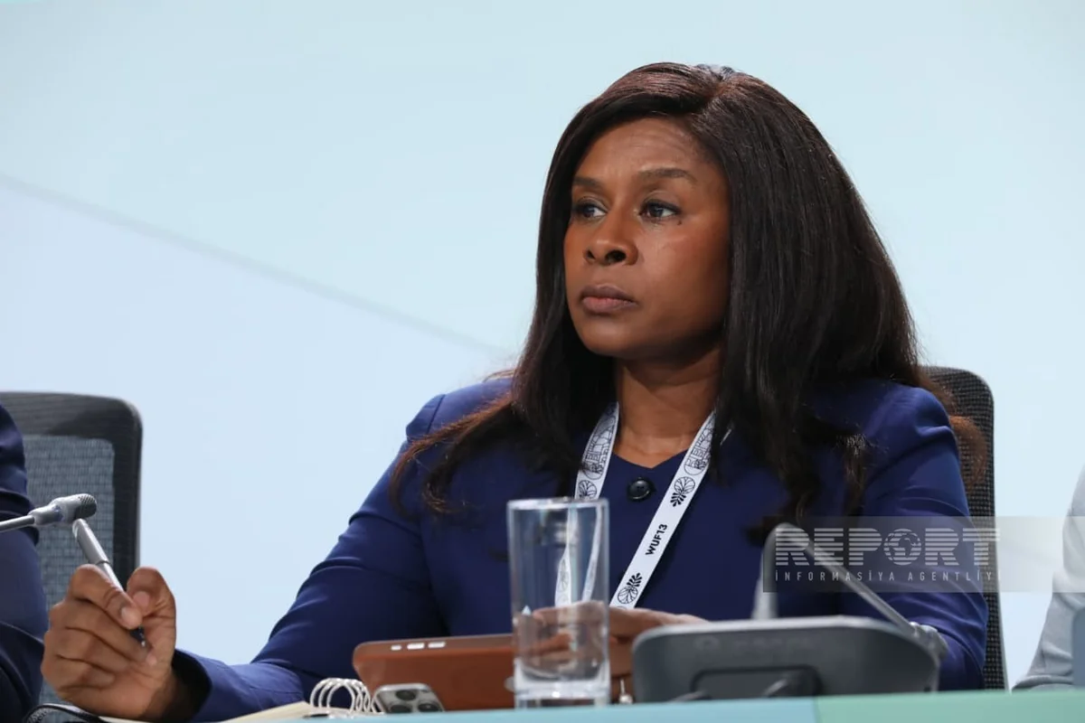 Fatumata Jau: Baku Climate and Peace Action Hub reflects important evolution in international thinking