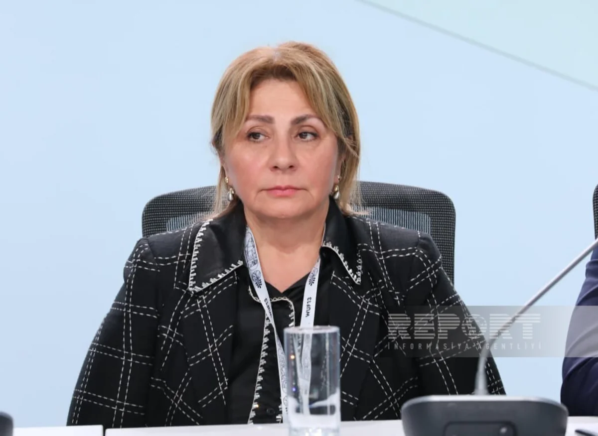Gulshan Rzayeva: Azerbaijan promotes 4SRP initiative for settlement restoration