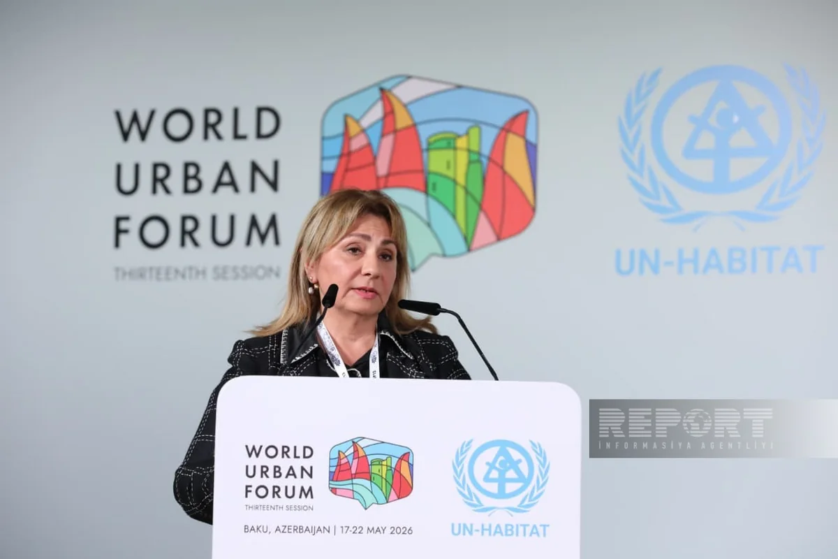 WUF13 official: Great Return program is a strong example of New Urban Agenda