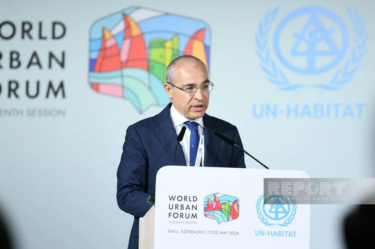 Jabbarov: Applying simple amnesty to illegal constructions may create additional risks