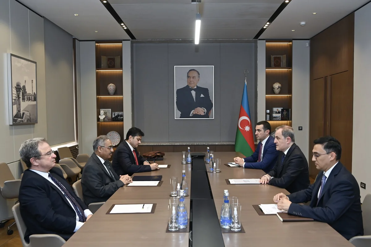 Azerbaijan, D-8 discuss prospects for cooperation