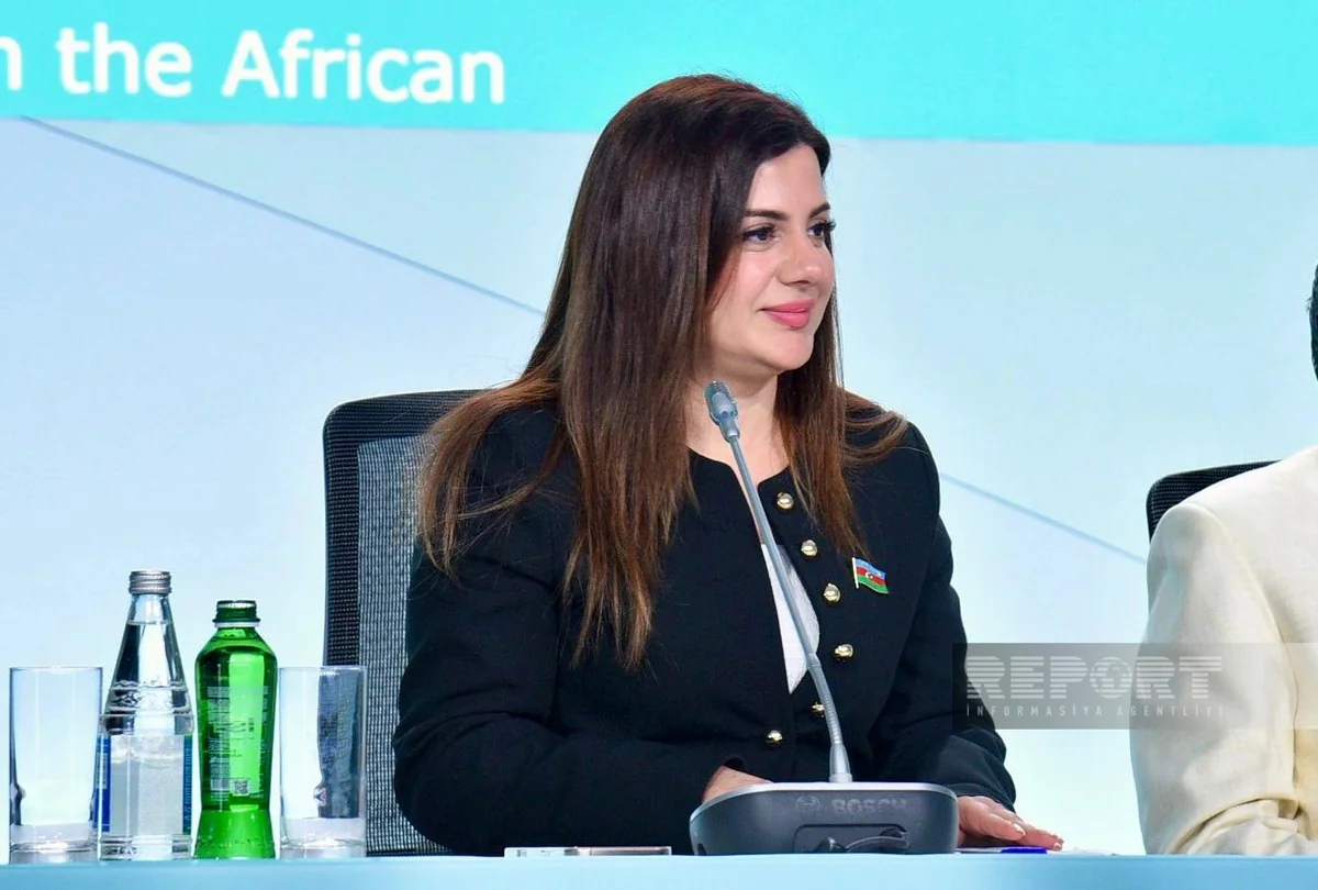 Parvana Valiyeva: We encourage use of eco-energy in residential areas