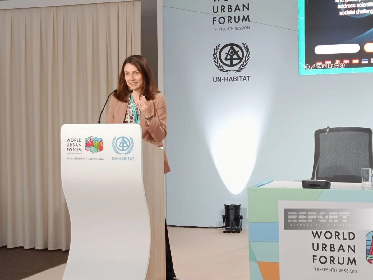 Expert: Climate conditions are important factor for economy of cities