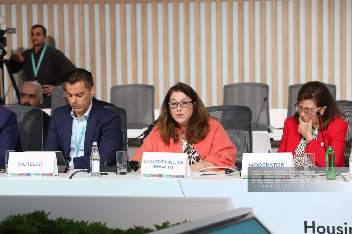 Rania Hedeya: Parliaments play special role in urban planning