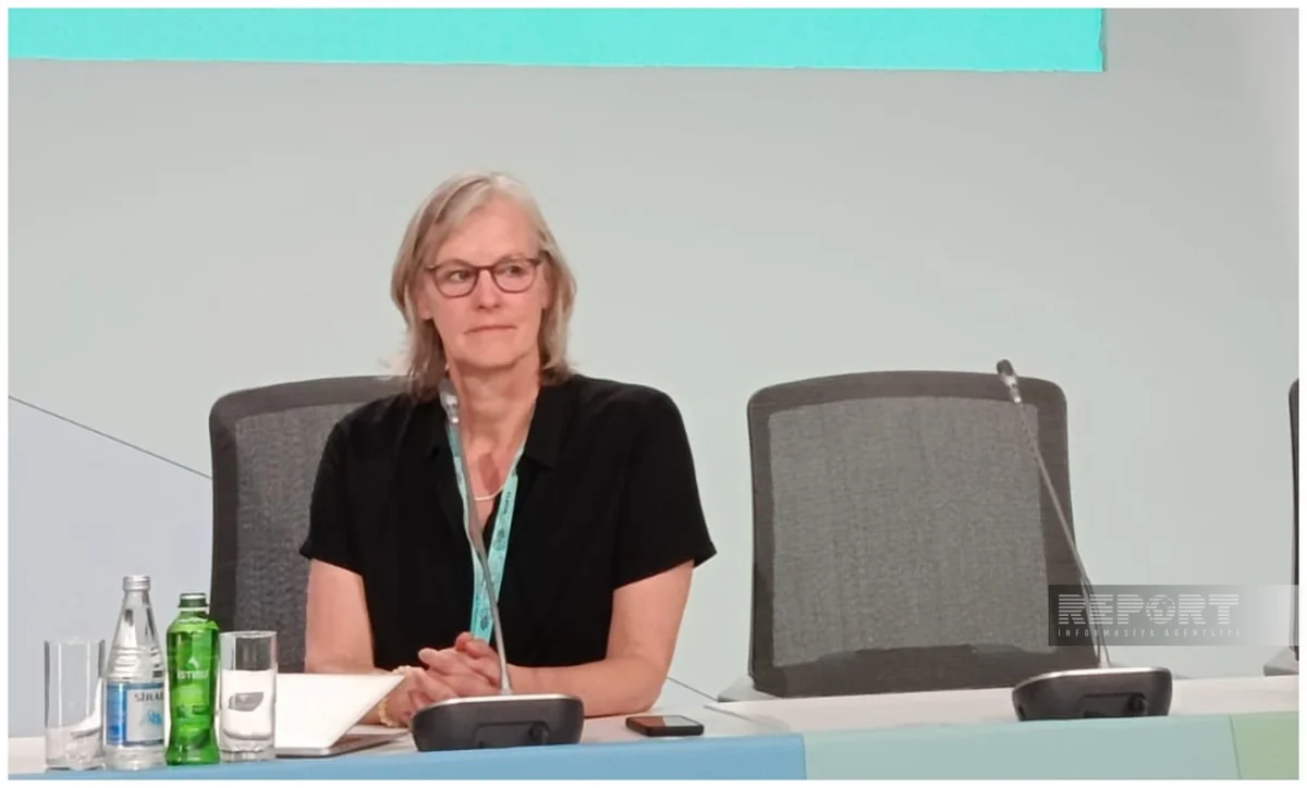 UN official: Connection of satellite data with the urban management system is still weak