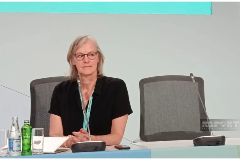 UN official: Connection of satellite data with the urban management system is still weak