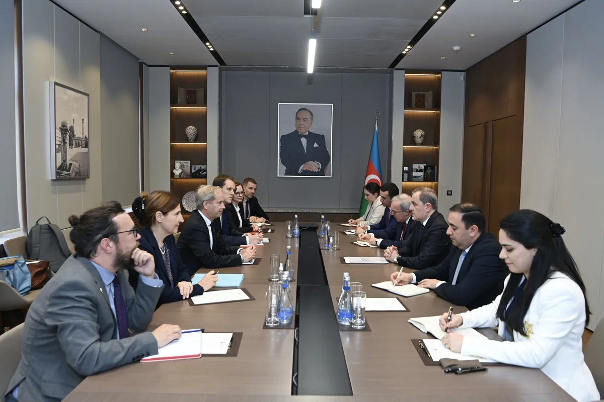 Bayramov, Skoog discuss prospects for expanding Baku-Brussels partnership