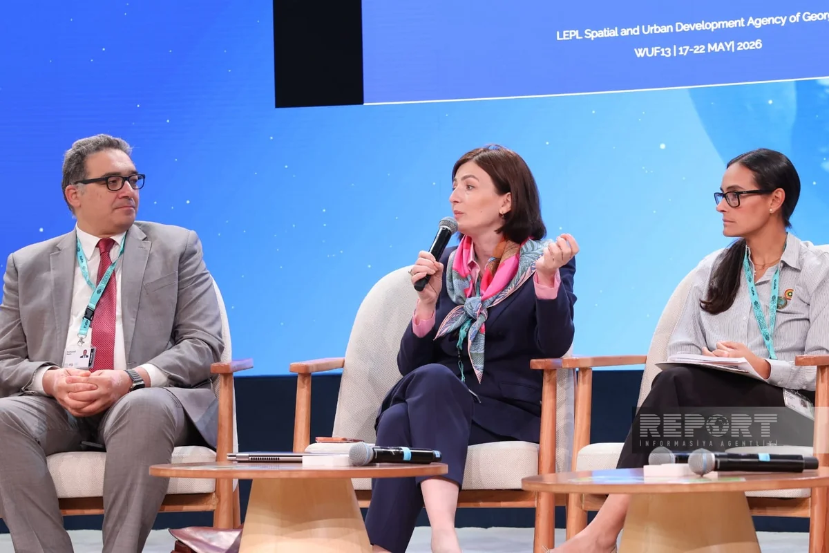 Tinatin Kolbaia: Georgia aims to develop unified housing policy