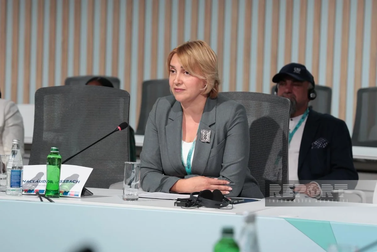 Elnara Ansari: Azerbaijan implemented fully electronic disability system for first time in region