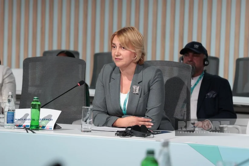 Elnara Ansari: Azərbaycan regionda ilk dəfə tam elektron əlillik sistemi tətbiq edib