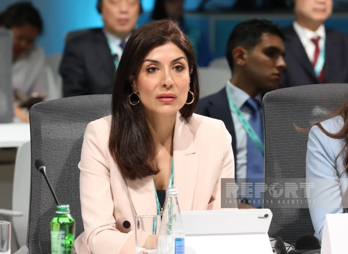 Nigar Arpadarai: It is important to make cities sustainable for future generations