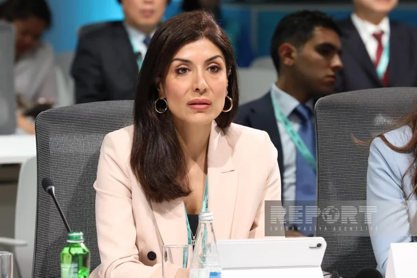 Nigar Arpadarai: Şəhərləri gələcək nəsillər üçün daha təmiz və dayanıqlı etmək vacibdir