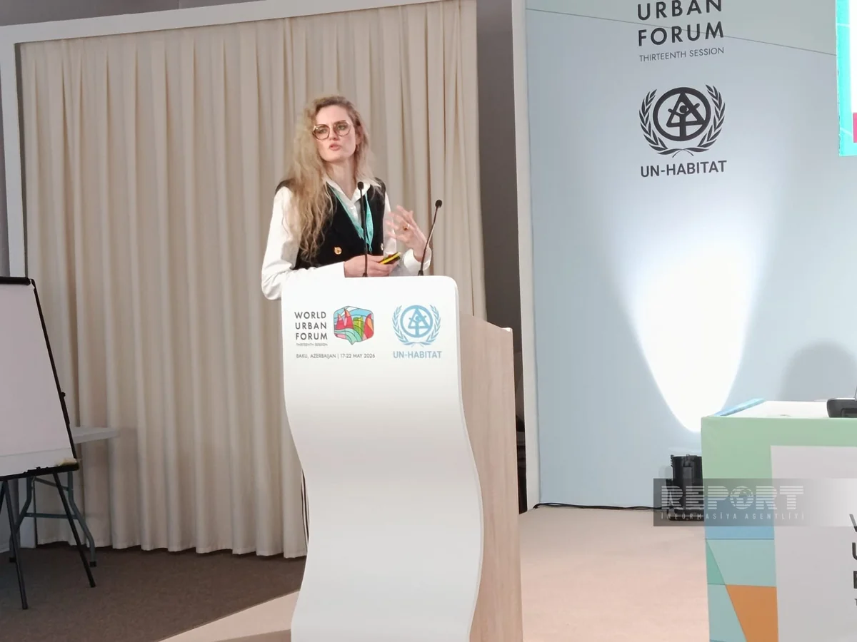 OECD rep mulls data standardization, its role in urban governance at WUF13