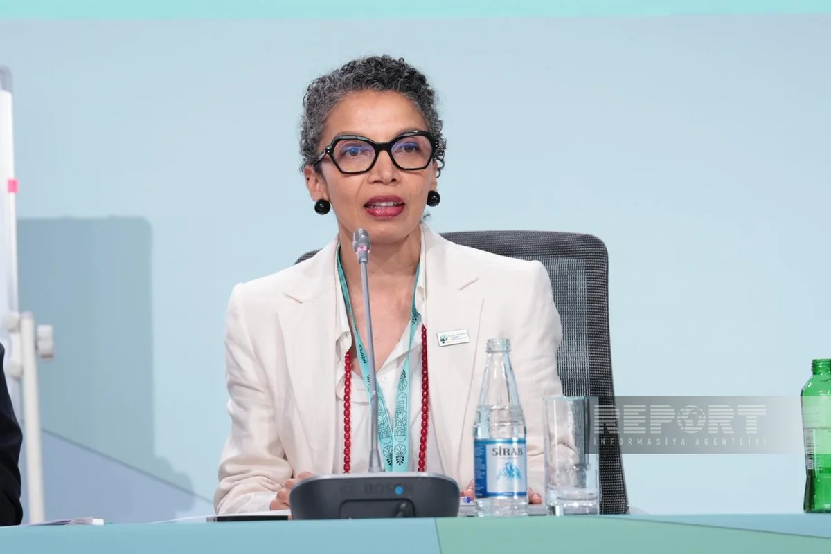 Global Covenant of Mayors proposes way to attract investments for small cities
