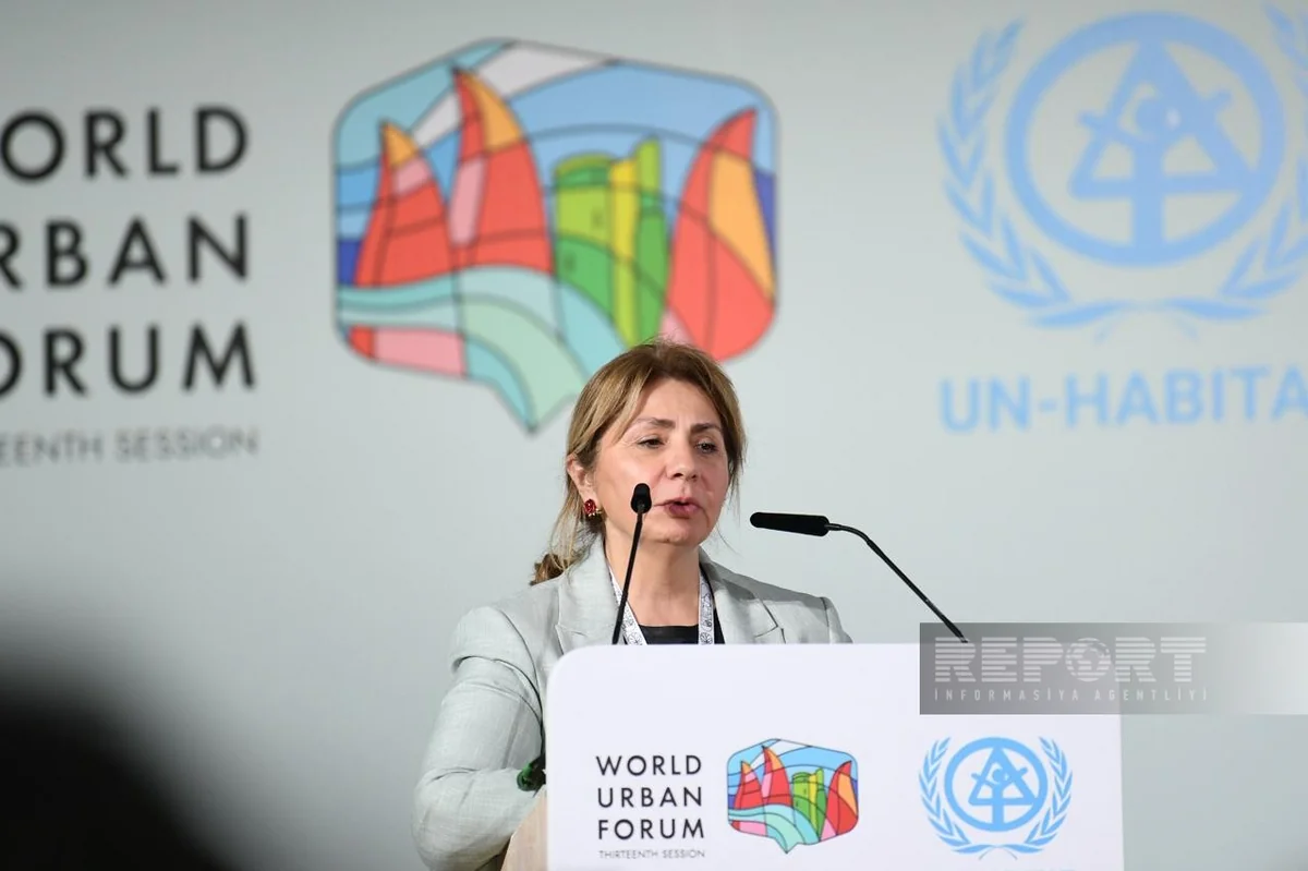 Gulshan Rzayeva: Clean air - key element of future urban environment