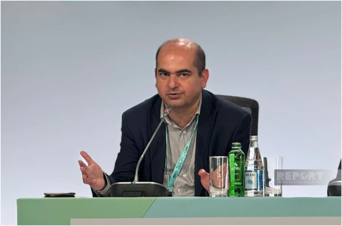Amin Mammadov: There is urgent need for water-oriented urban planning