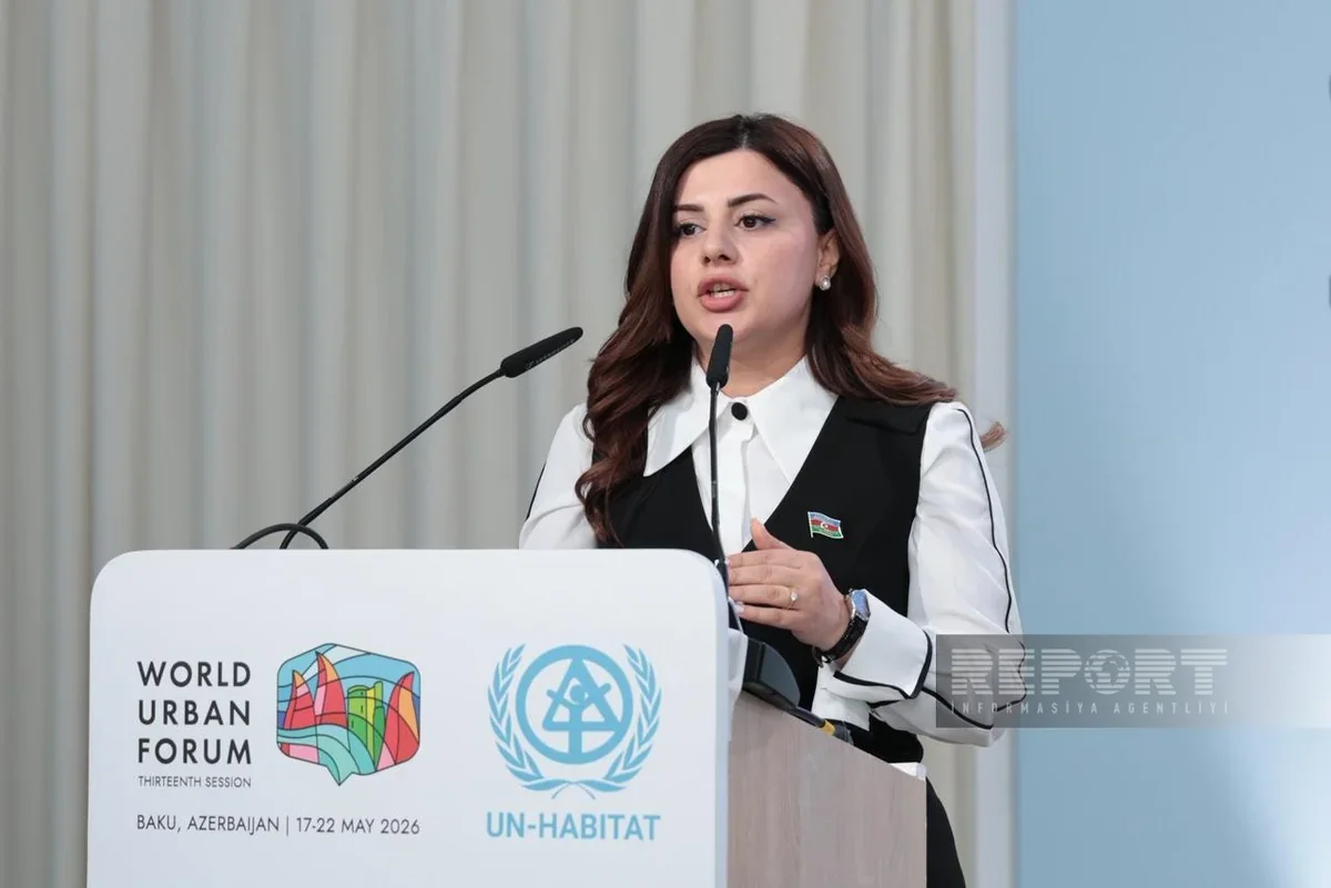 Azerbaijani MP: Peace with Armenia creates basis for tourism growth
