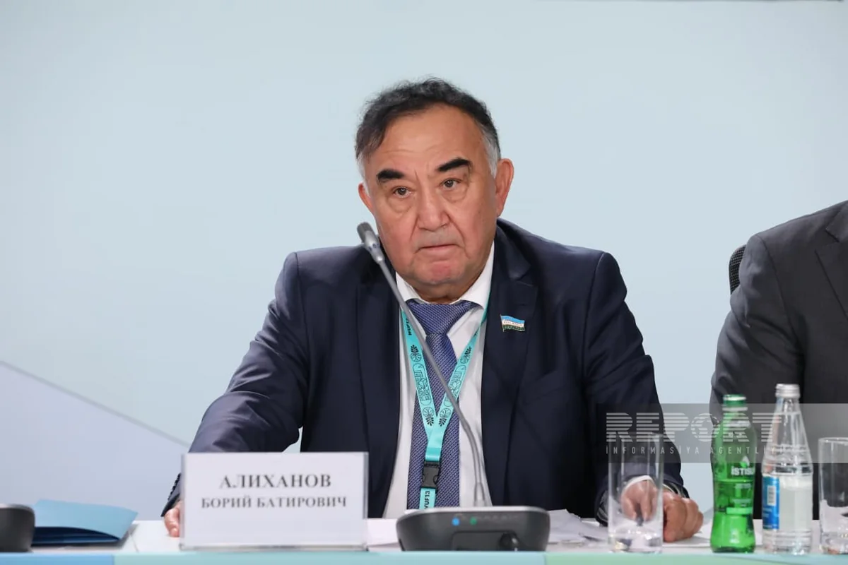 Uzbek lawmaker: Incomplete consideration of mountain areas limits their potential
