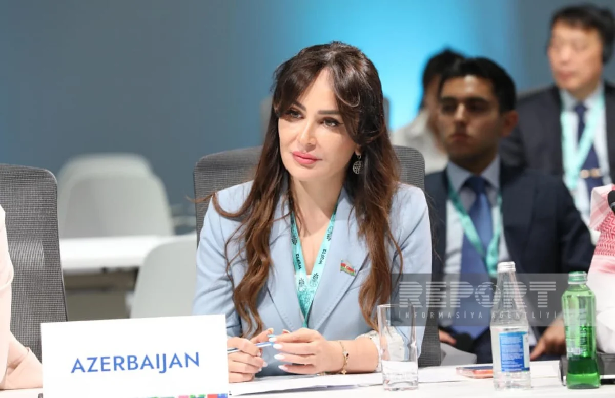 Nigar Mammadova: Projects in Karabakh shape new model of sustainable urban planning