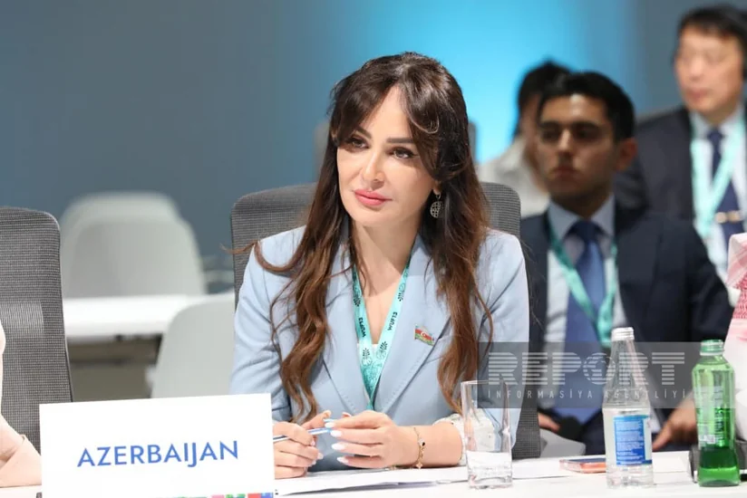 Nigar Məmmədova: Mənzil təminatı dünyanın ən ciddi çağırışlarından biridir