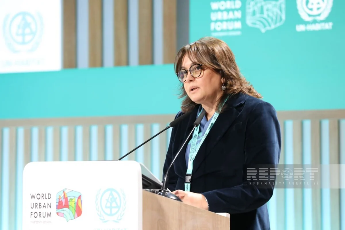 Taghiyeva: World facing triple crisis today