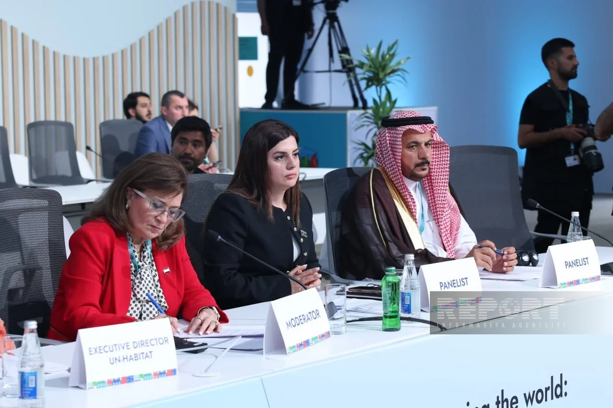 Valiyeva calls for expanding inter-parliamentary cooperation at WUF13