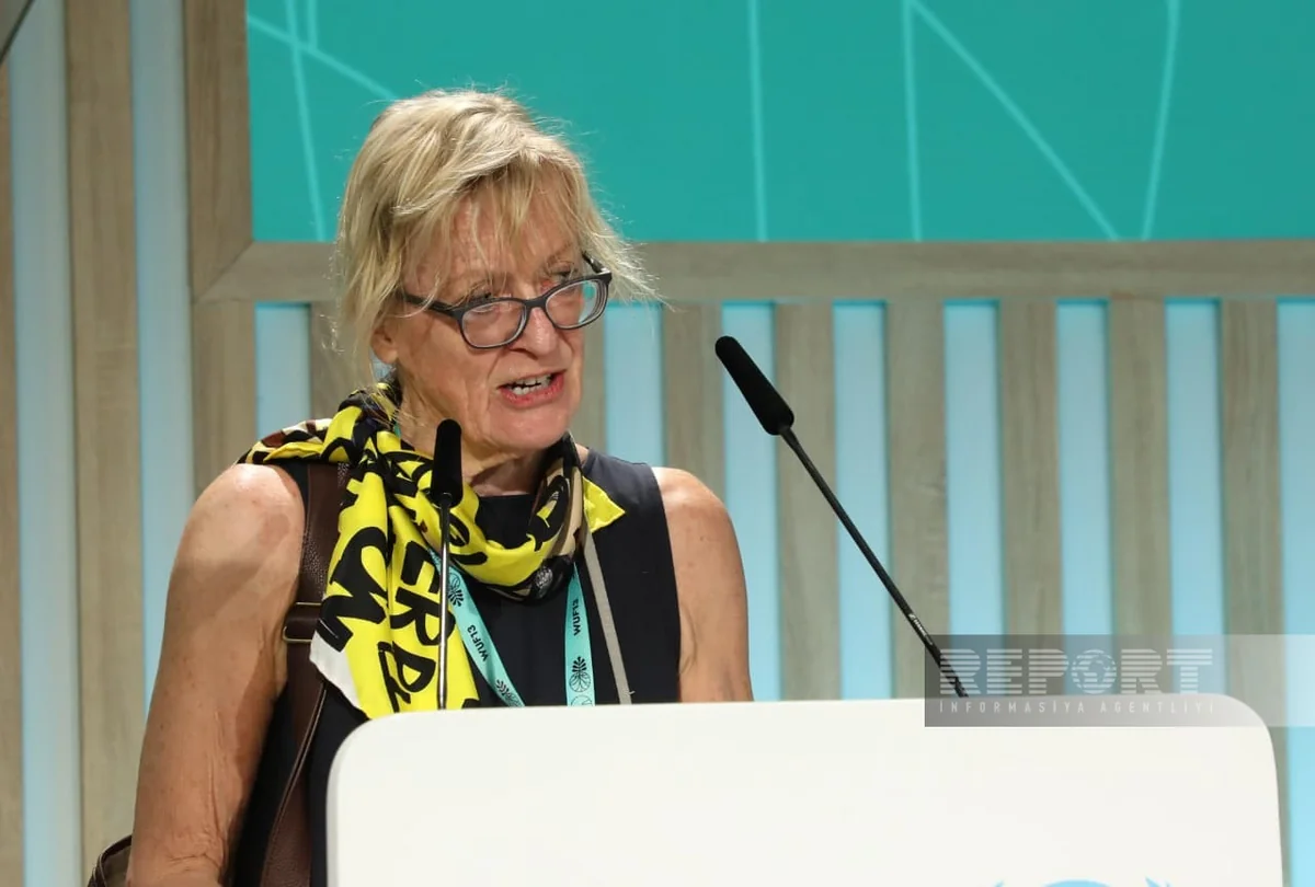 Moore: Natural disasters undermine social development and deepen inequality