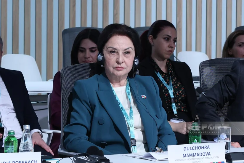 Gulchohra Mammadova: Urban planning now requires multidisciplinary specialists