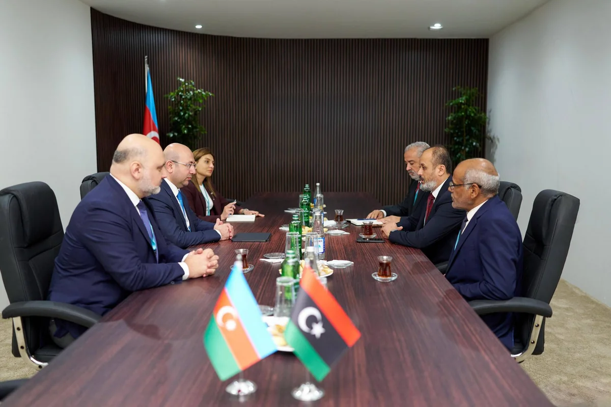 Azerbaijan and Libya mull cooperation