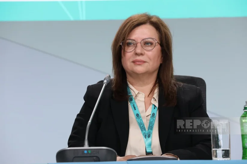 Qaracayeva: Cəbrayıl, Qubadlı və Zəngilan rayonları kompakt logistika modeli üzrə inkişaf edir