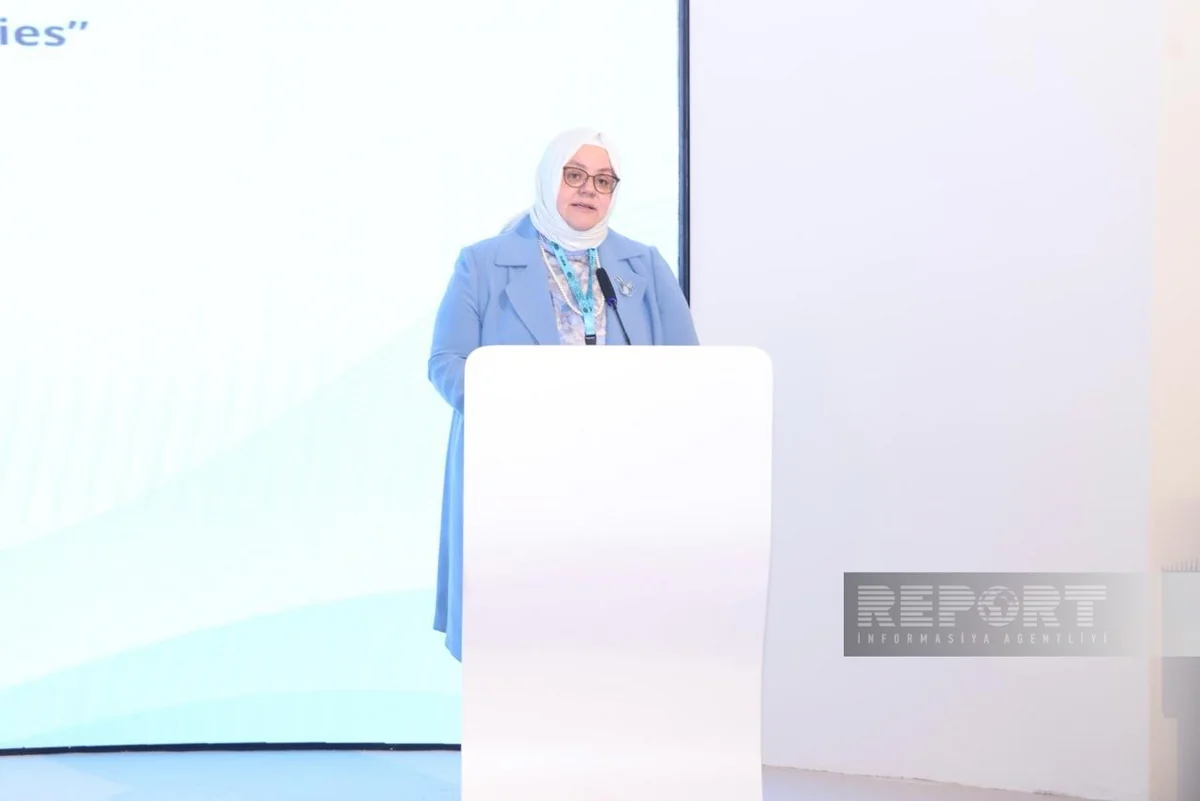 İƏT ölkələrinin dünya şəhər əhalisində payı 2050-ci ilə qədər 30 %-ə çatacaq