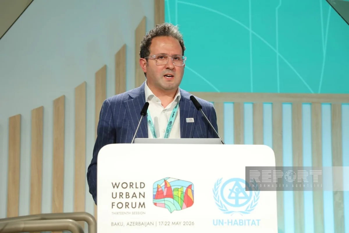 Expert: Post-disaster recovery must not deepen inequality