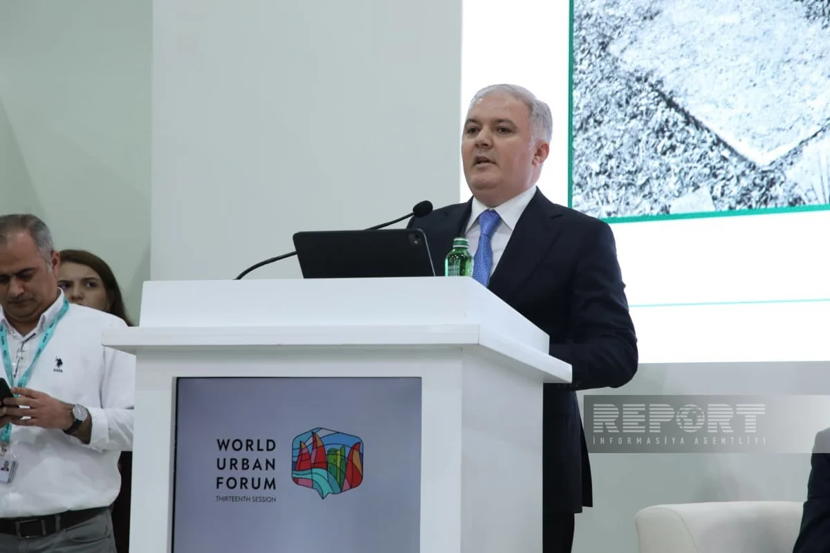 Bashir Hajiyev: Kalbajar's natural resources were extensively exploited during occupation