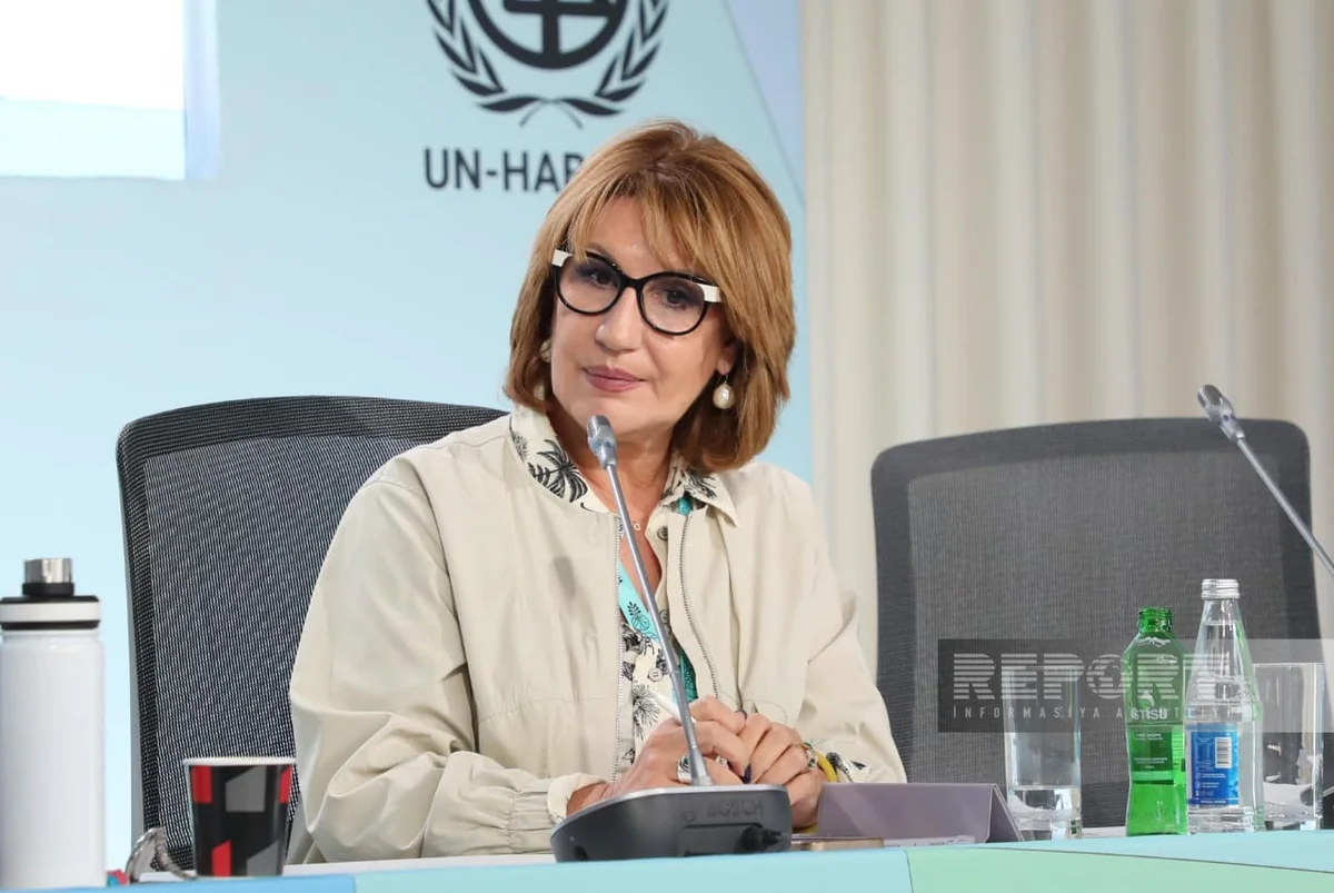 Emiliya Sais regional hakimiyyətləri mənzil probleminin həllinə daha fəal cəlb olmağa çağırıb