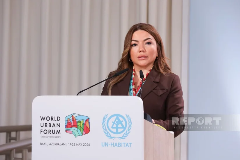 Aygun Aliyeva: NGOs help raise public environmental awareness