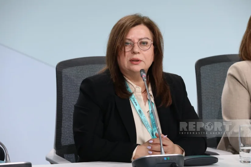 Nargiz Garajayeva: Liberated territories will contribute to development of Azerbaijan's green economy