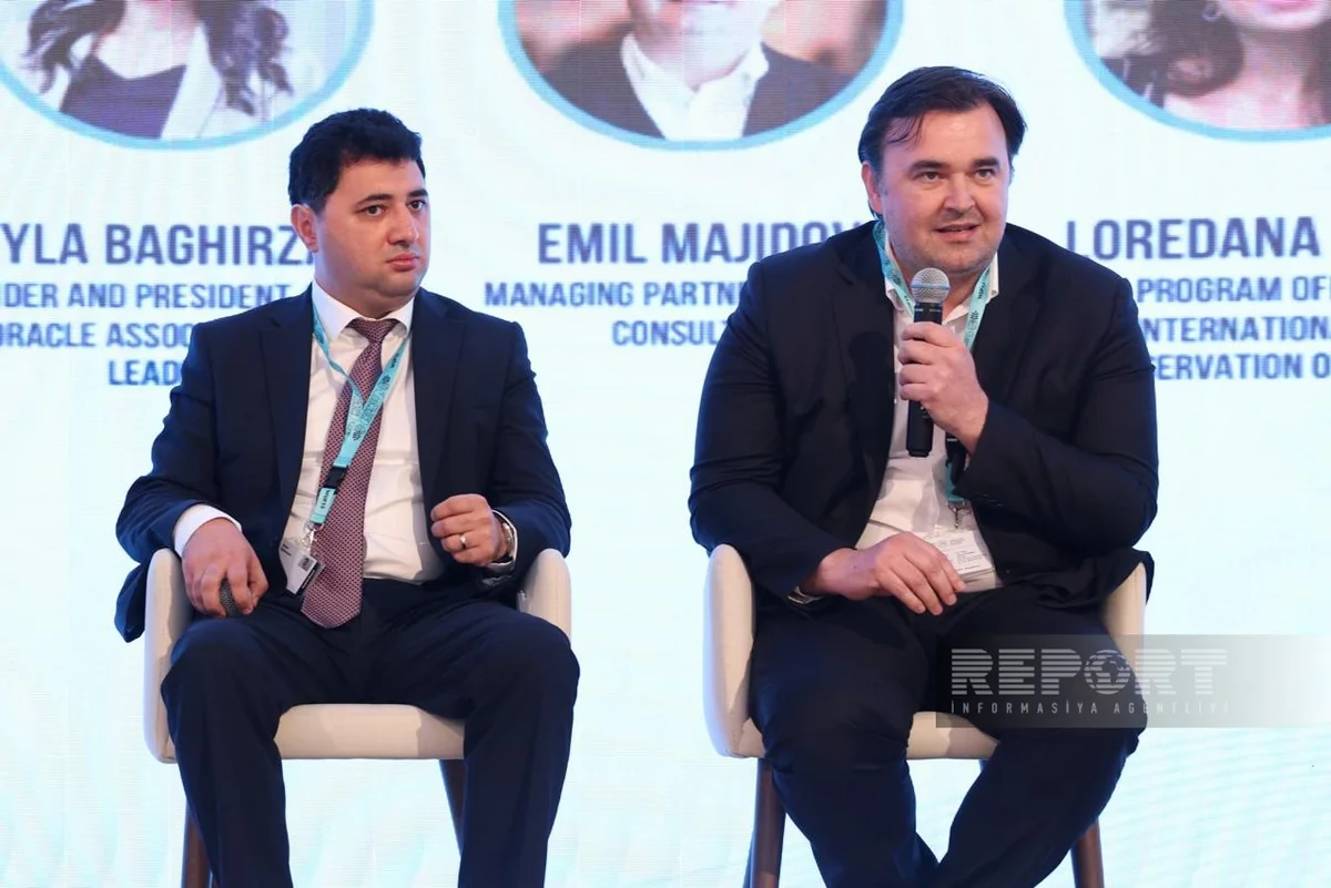 SMEs key to building resilient cities, Rotos Consulting says